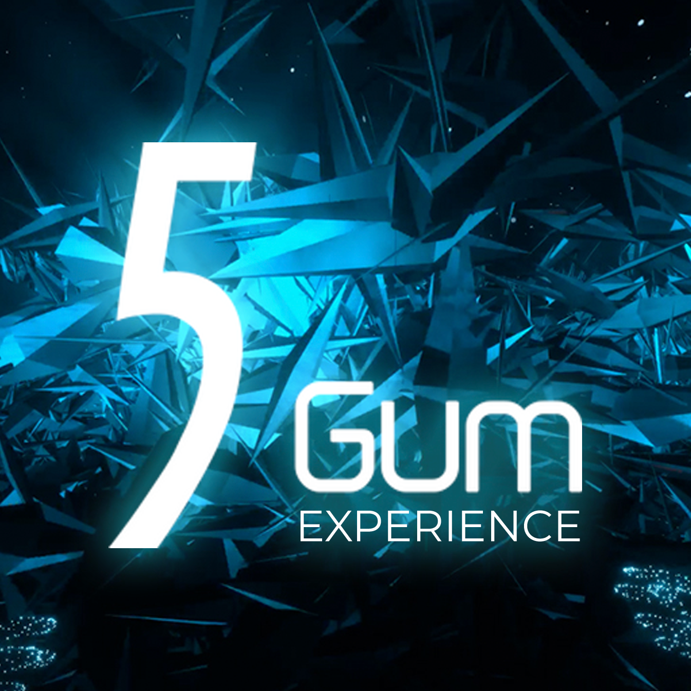 5 Gum Experience