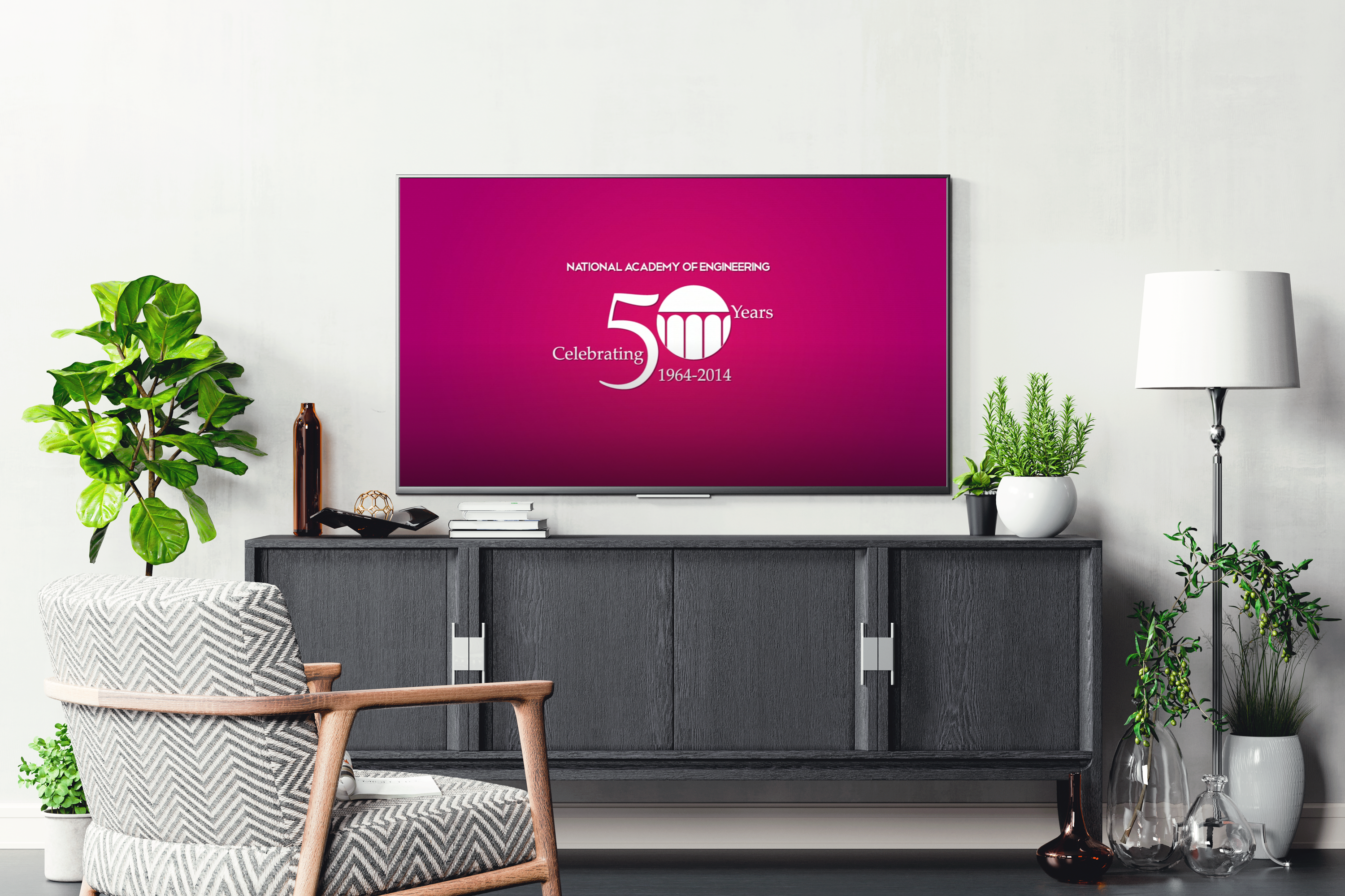 NAE – Video Contest Submission