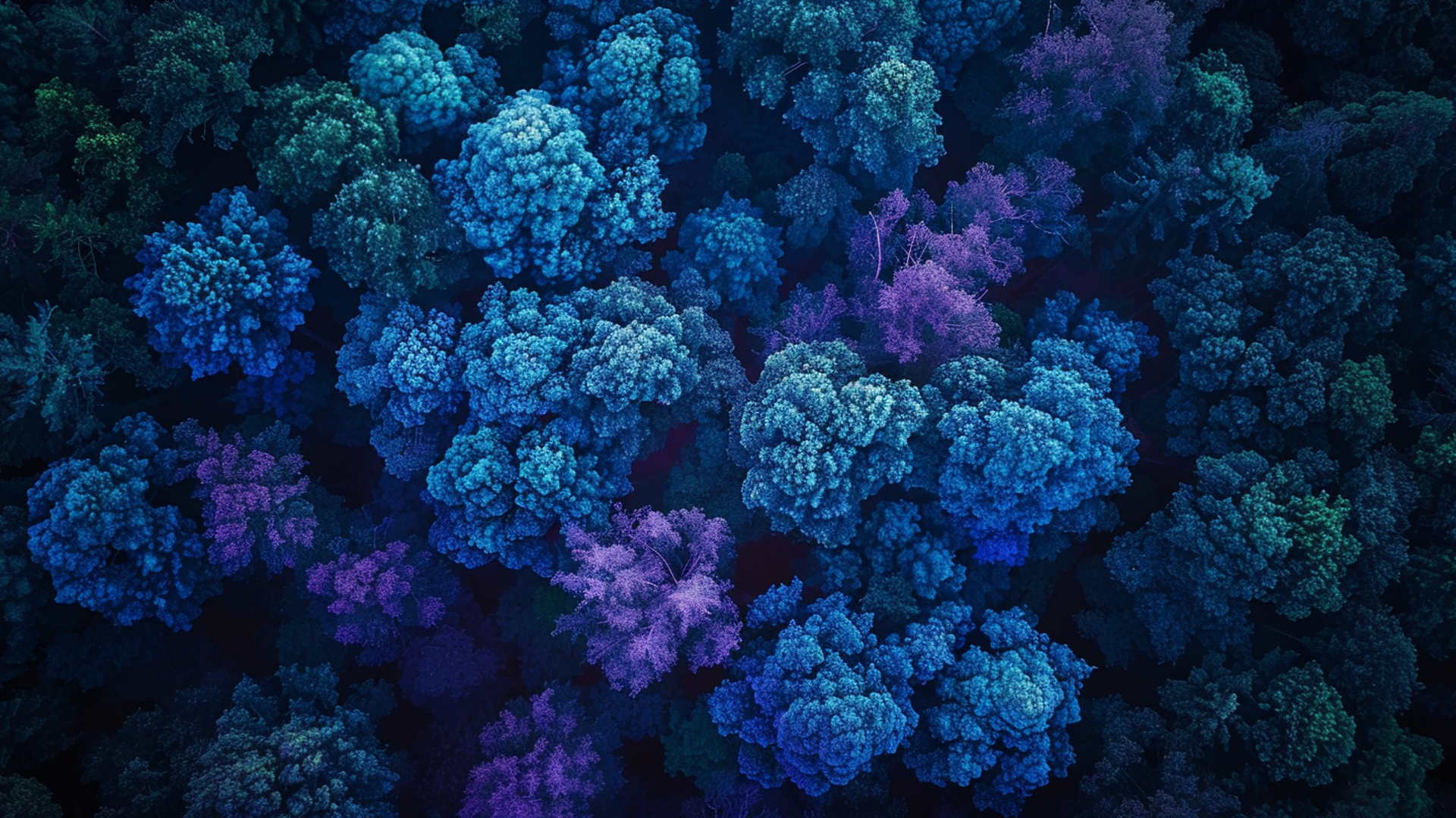 Hey! Please Take a look around